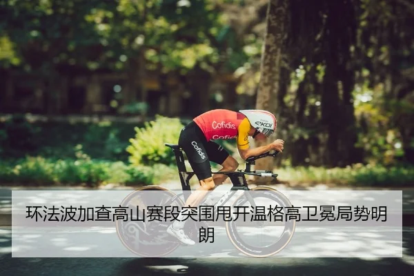 huan-fa-bo-jia-cha-gao-shan-sai-duan-tu-wei-shuai-kai-wen-ge-gao-wei-mian-ju-shi-ming-lang-3-282.jpg