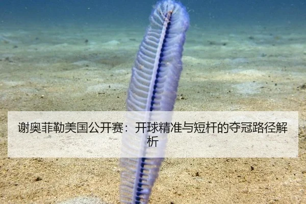 谢奥菲勒美国公开赛：开球精准与短杆的夺冠路径解析